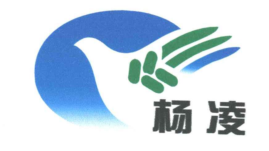 杨凌