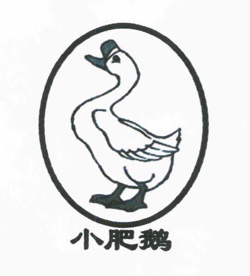 小肥鹅