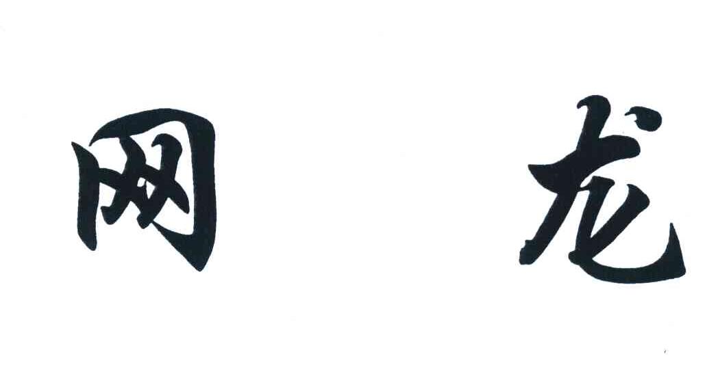 网龙