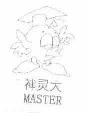 神灵大;MASTER