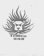 图腾狮   TPILION