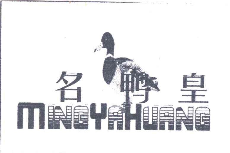 名鸭皇 及图