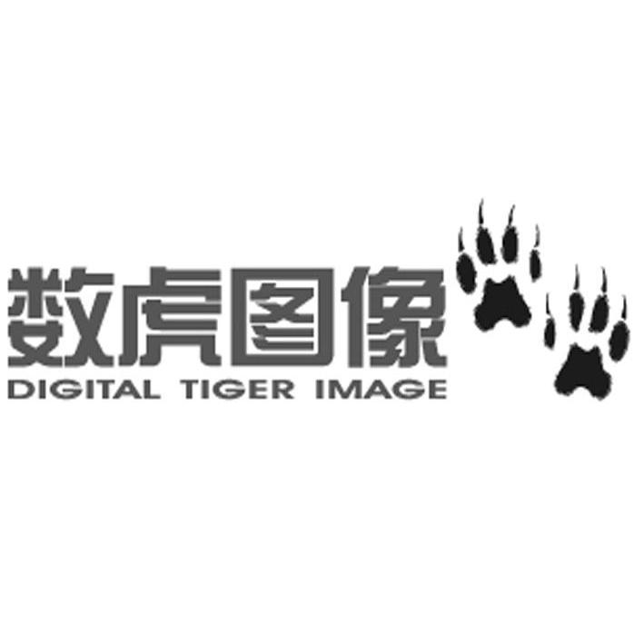 数虎图像 DIGITAL TIGER IMAGE