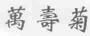 万寿菊