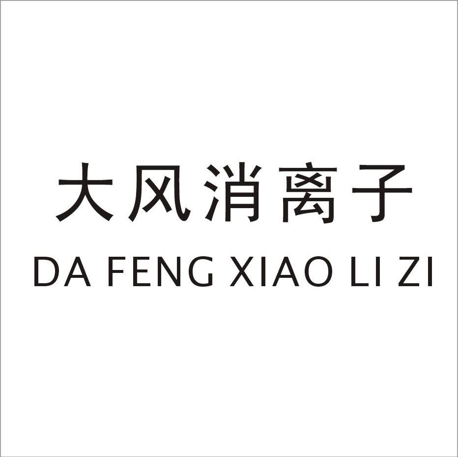 大风消离子