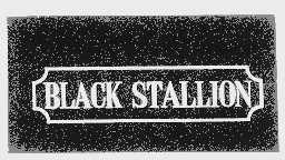 BLACK STALLION