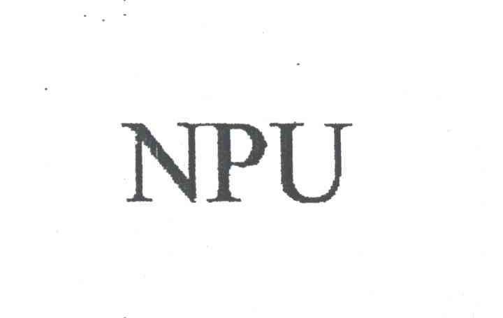 NPU