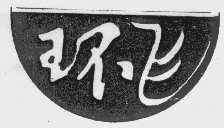 环飞