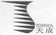 天成;TOWNSUN