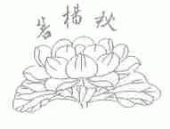 菩杨秋