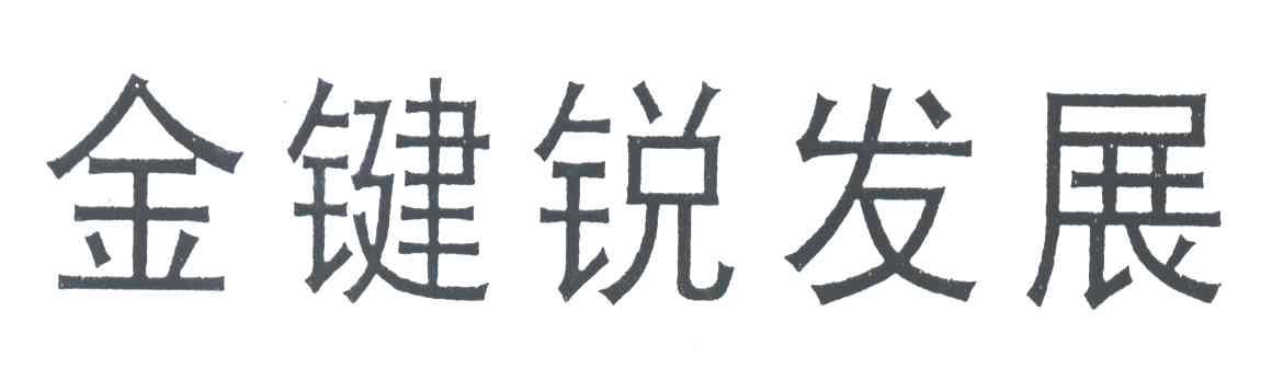 金键锐发展