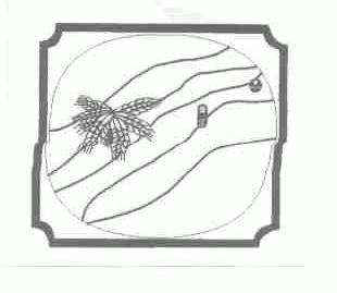 珠江