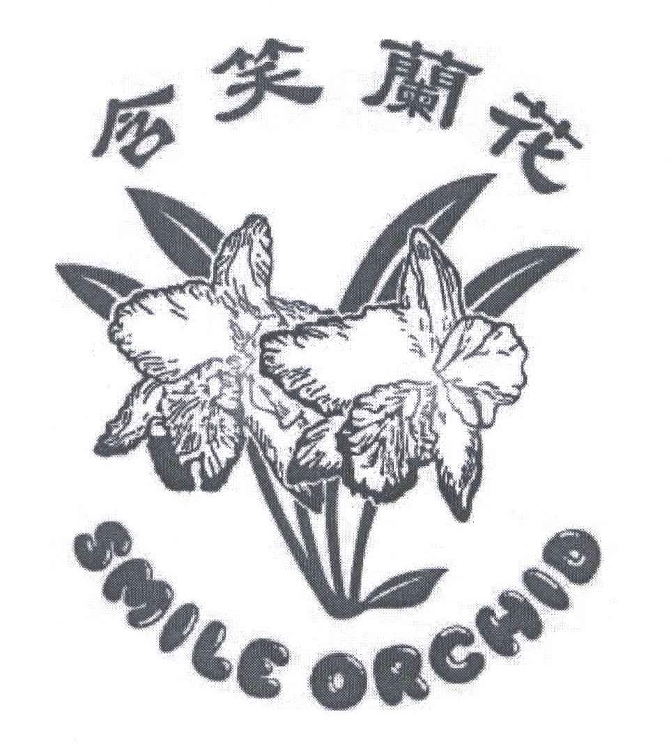 含笑兰花;SMILE ORCHID