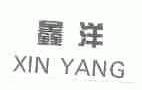 鑫洋
