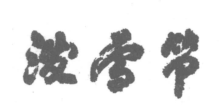 泼雪节