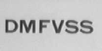 DMFVSS