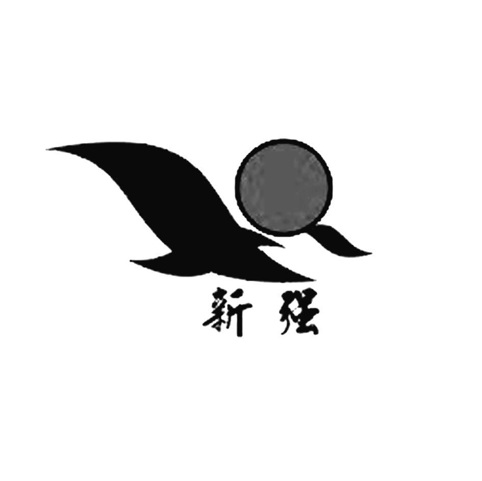 新强