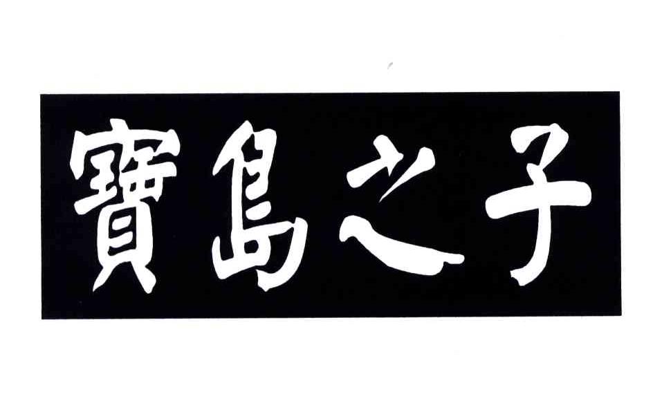 宝岛之子