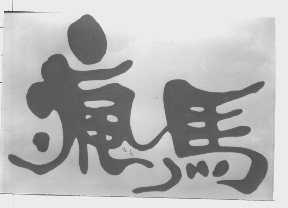 疯马