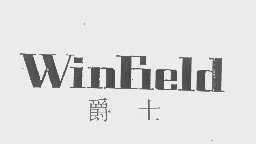 爵士   WINFIELD