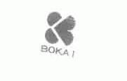 BOKAI