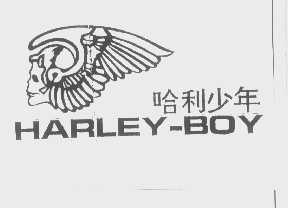 哈利少年   HARLEY BOY