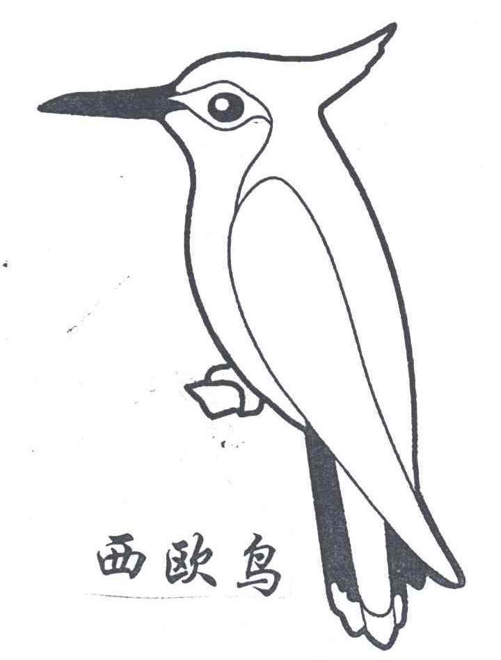 西欧鸟及图