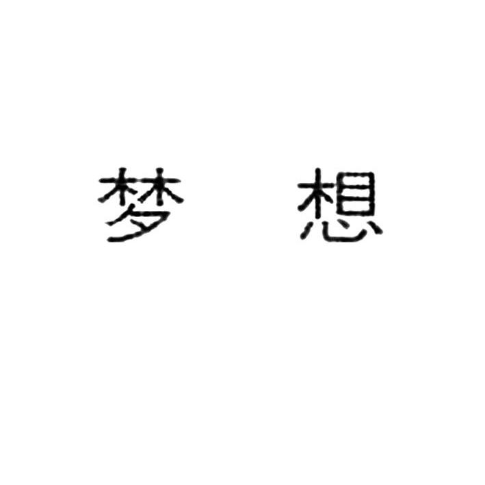梦想