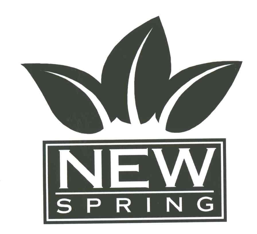 NEW SPRING