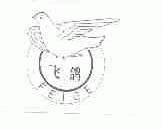 飞鸽