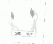 露莎