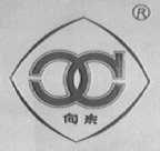 向东