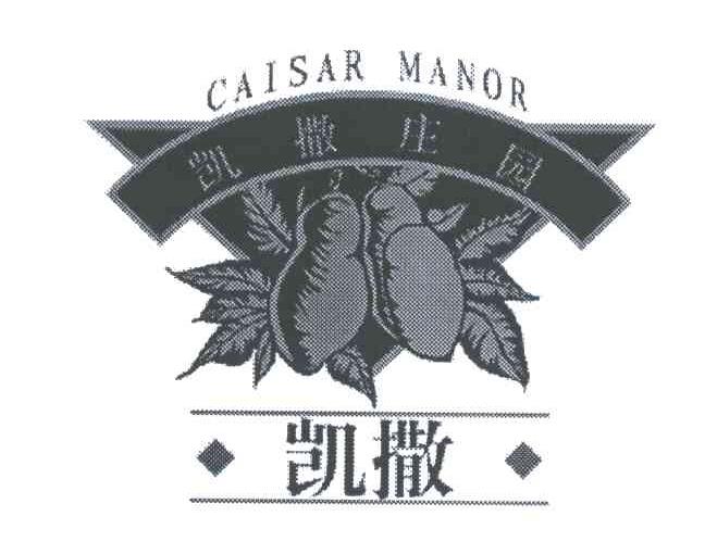 凯撒