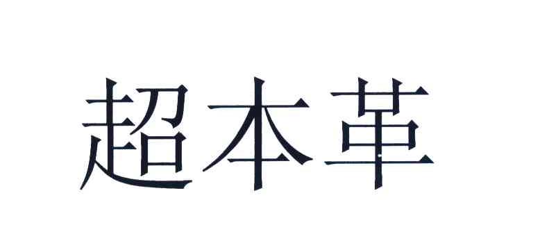 超本革