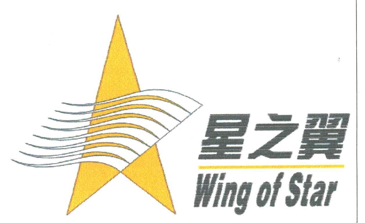 WING OF STAR星之翼