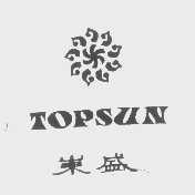TOPSUN   东盛