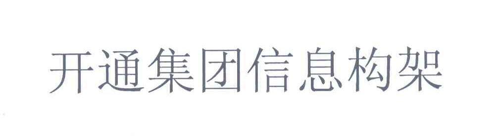 开通集团信息构架