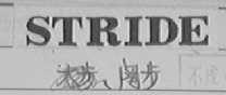 STRIDE