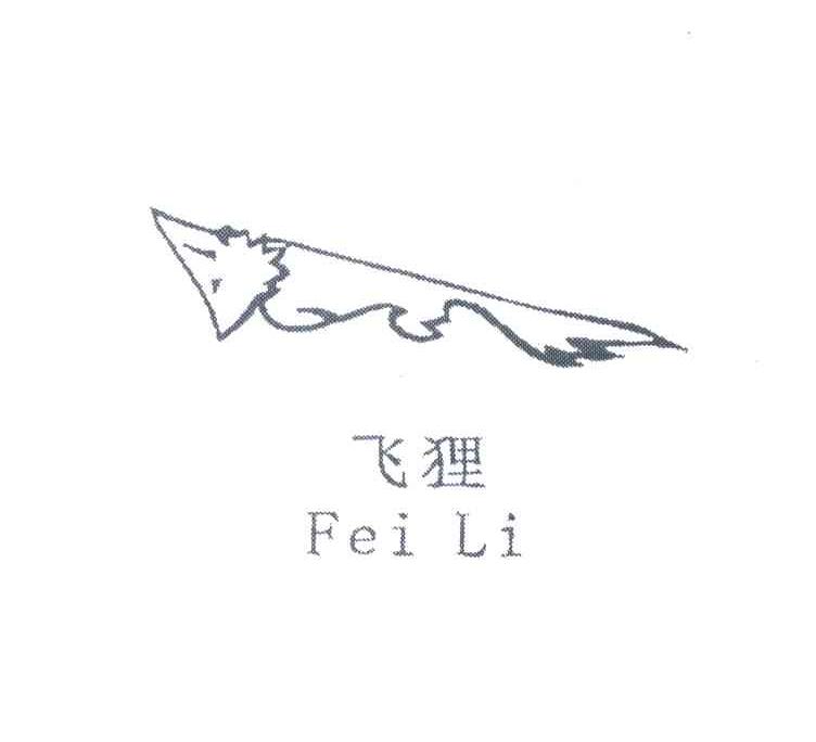 飞狸