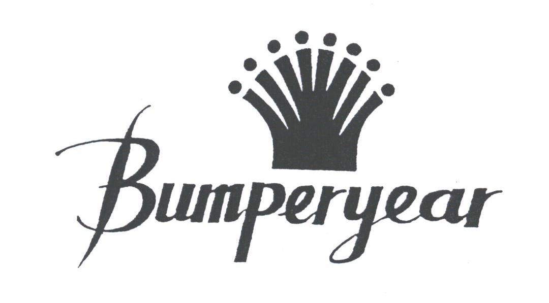 BUMPERYEAR