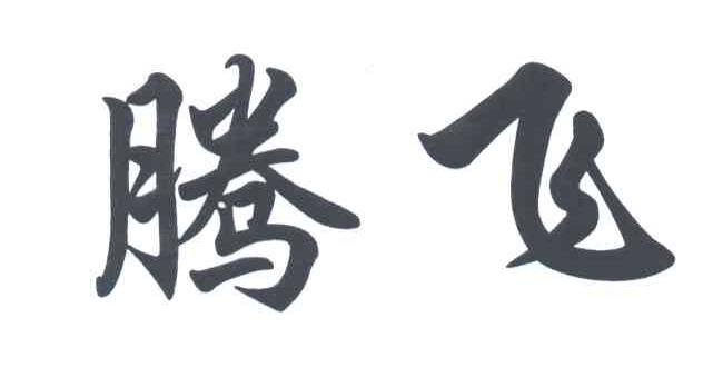 腾飞