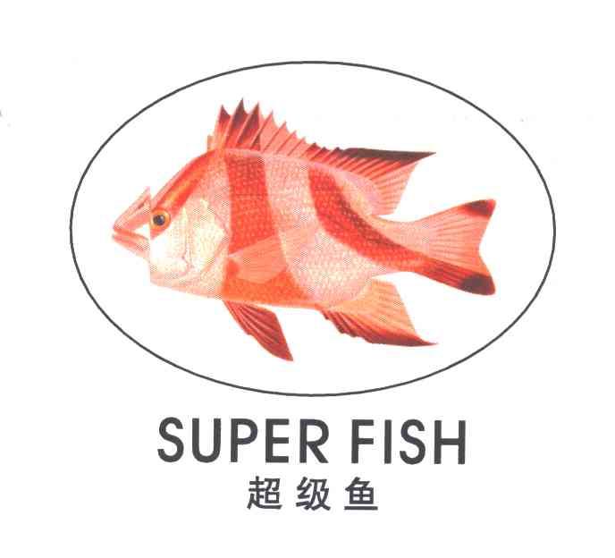 SUPER FISH;超级鱼