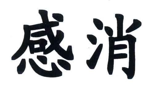 感消