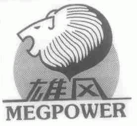 雄风;MEGPOWER