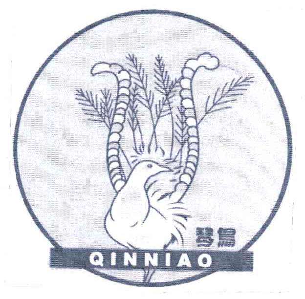 琴鸟