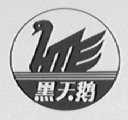 黑天鹅