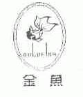 金鱼;GOLDFISH
