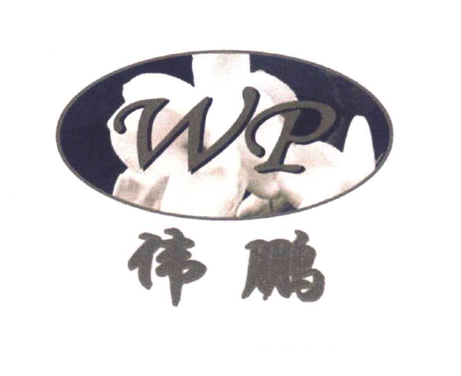 伟鹏 WP