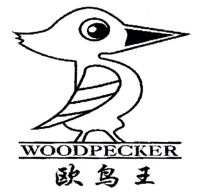 欧鸟王;WOODPECKER
