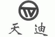 天迪